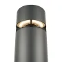 Ion switch