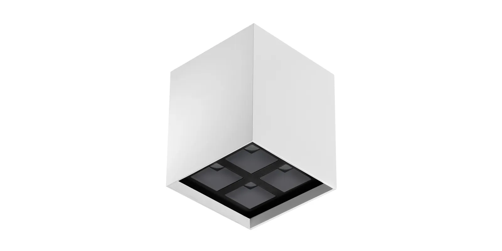 Bitpop C